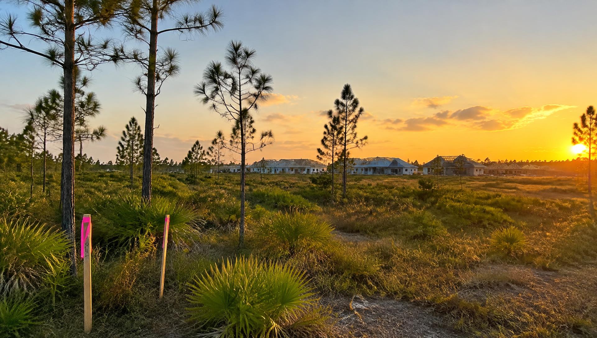 Florida land at sunset with new homes under construction in the distance